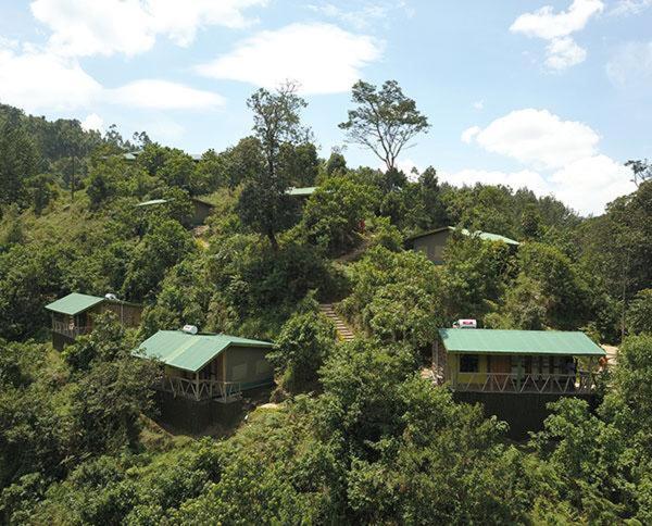 Gorilla Hills Eco-Lodge Kisoro Exterior photo