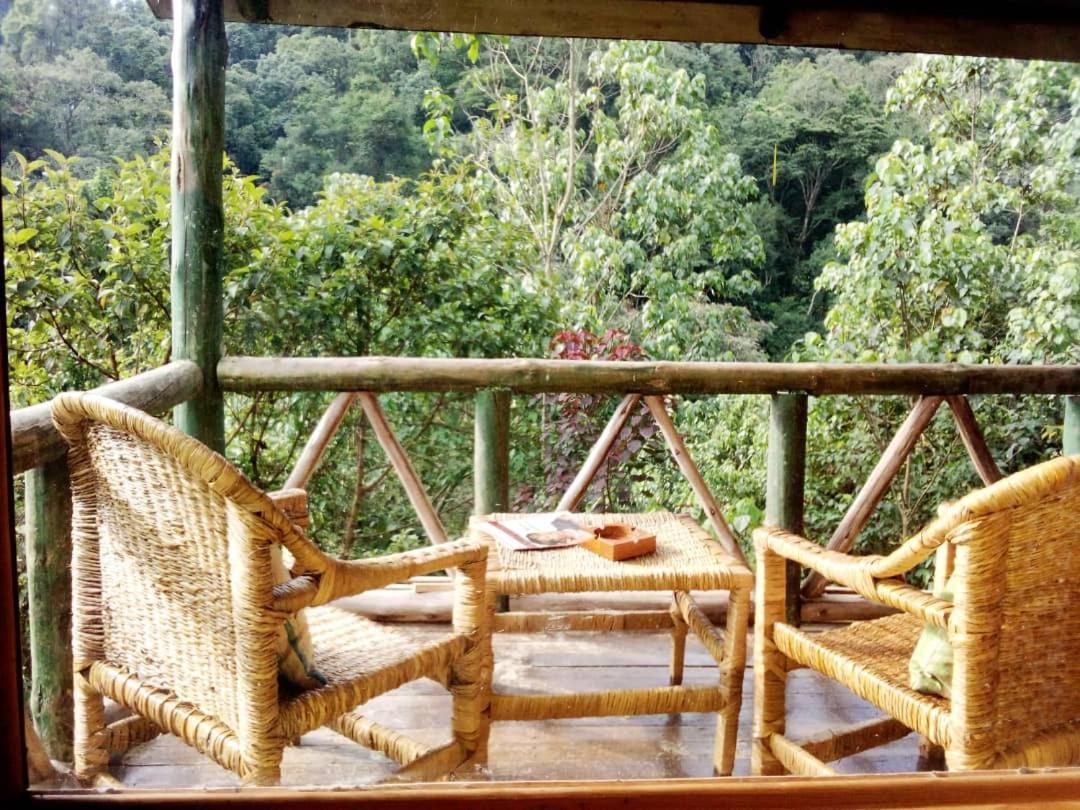 Gorilla Hills Eco-Lodge Kisoro Exterior photo