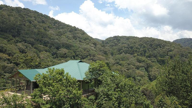 Gorilla Hills Eco-Lodge Kisoro Exterior photo